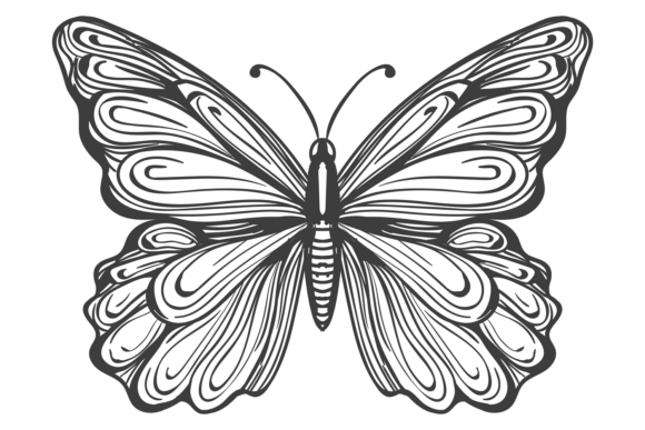 Decorative Butterfly Drawing for Cricut and Handmade Graphics
