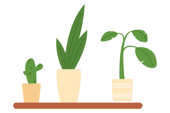 Home Garden Shelf with Decorative Green: A Polished Graphic for Content Creators