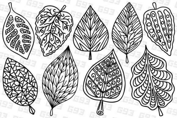 Stylized Decorative Line Art Leaves for Editorial and Web Graphics
